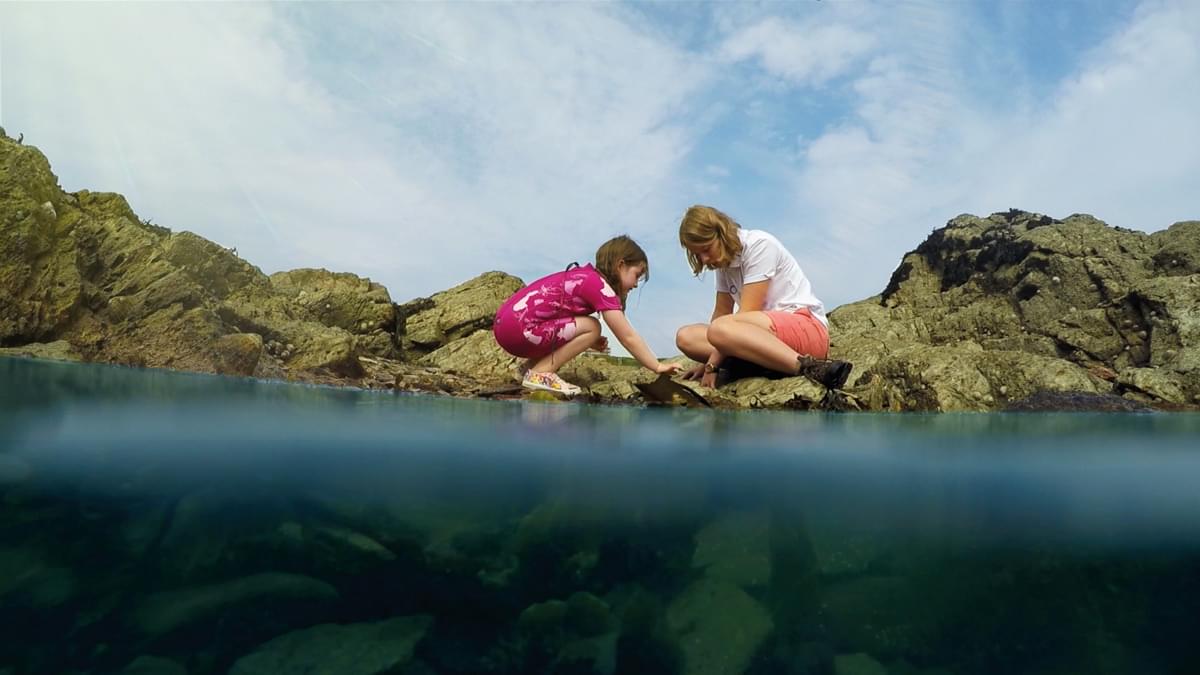 Rock pooling live 080622 THUMB