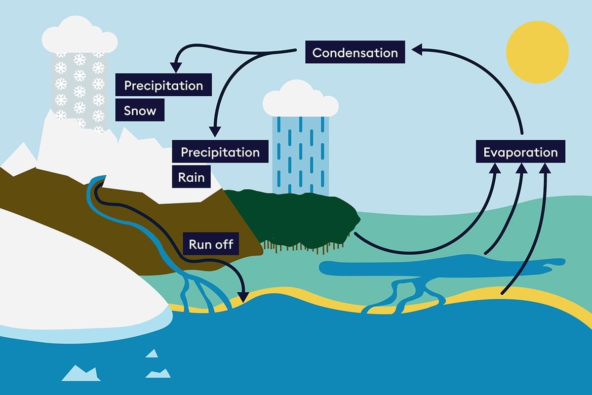 Why is the water cycle important? | Encounter Edu