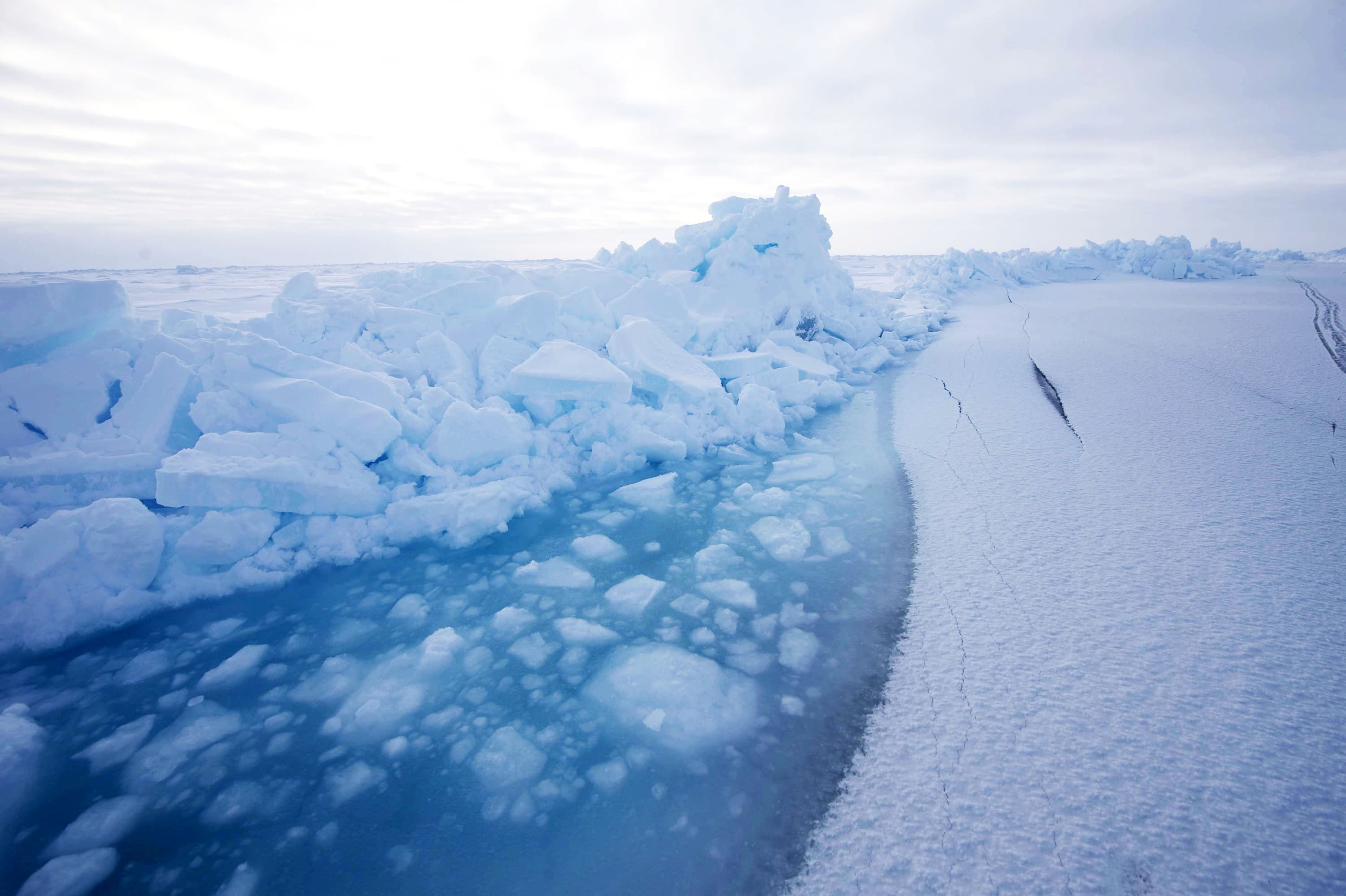 Arctic Live 2020 Hero Image