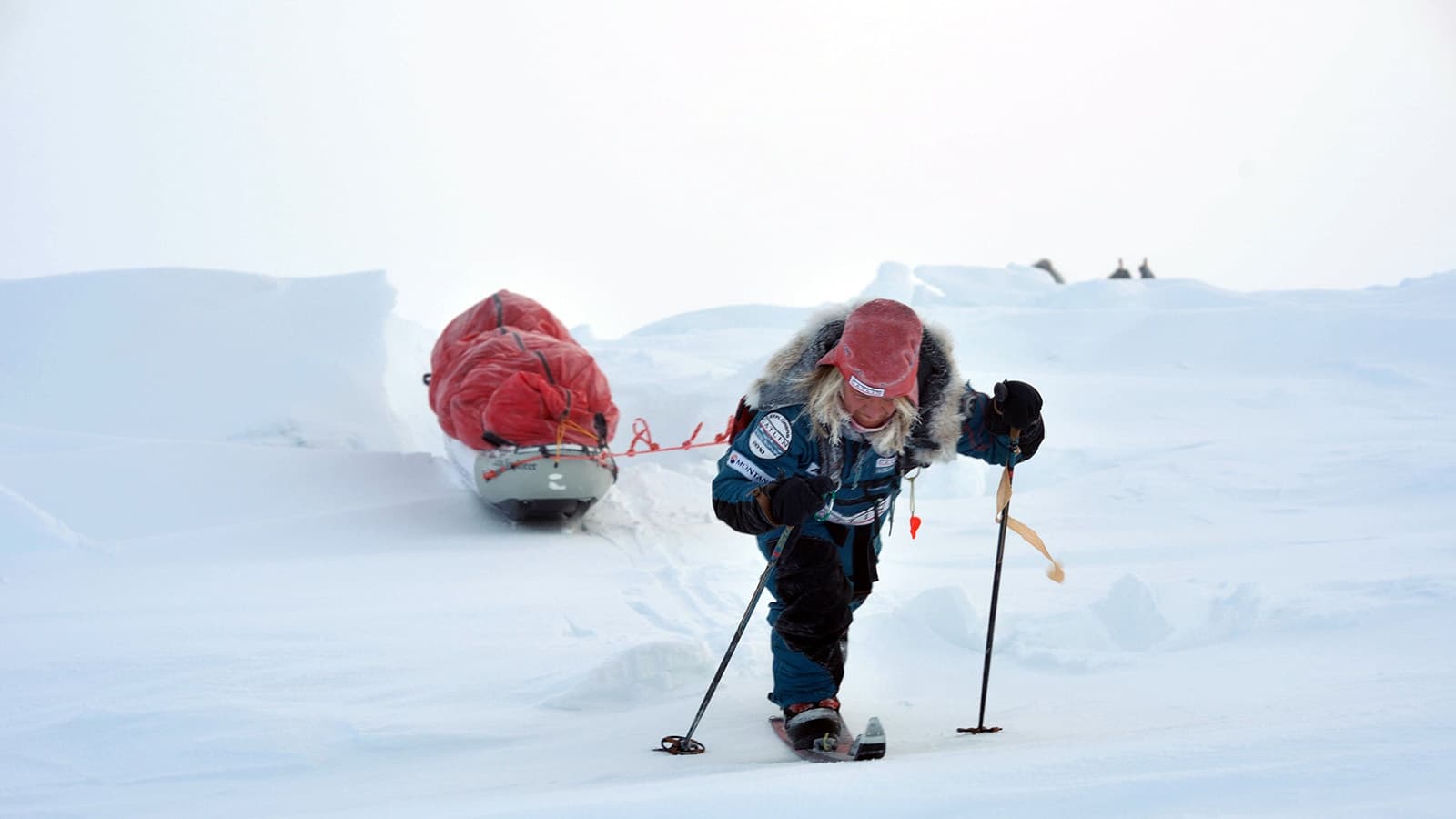 Arctic Readiness Quiz Hero