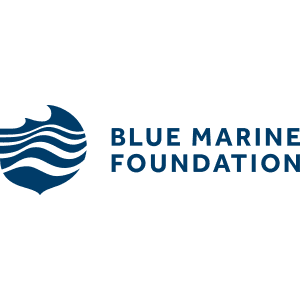 BMF FOOTER LOGO Colour