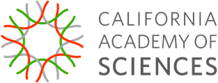 CALACADEMY LLP LOGO COL