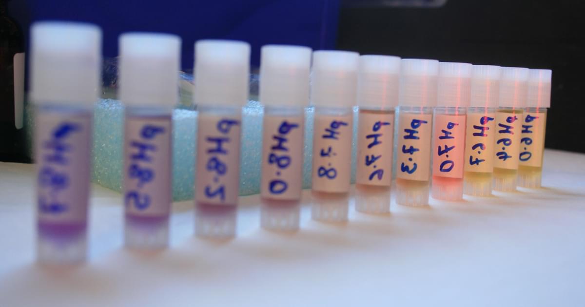 How does ocean acidification affect marine life? | Encounter Edu