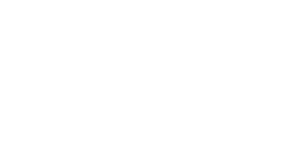 CSS Logo Reversed 1 Col