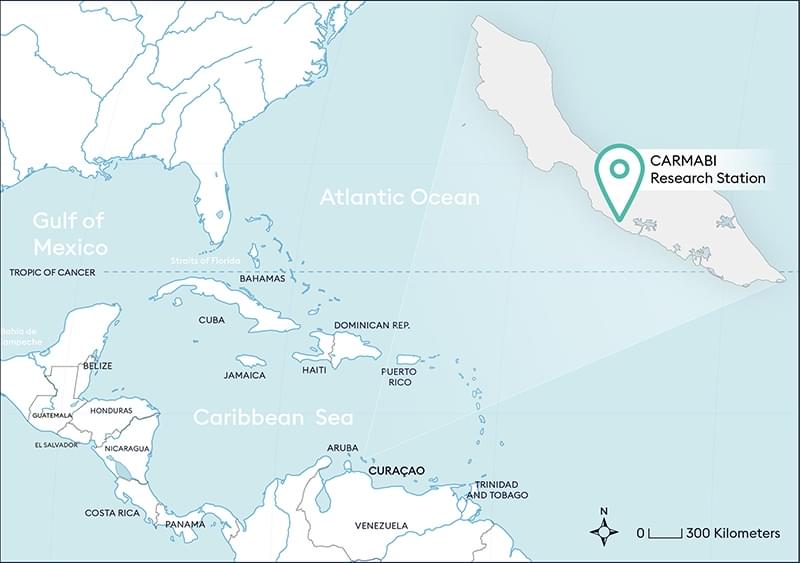 CURACAO MAP 800pxwide