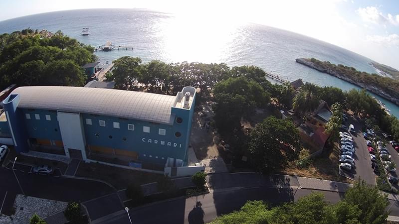 Coral Live 2019 carmabi wide shot 800px