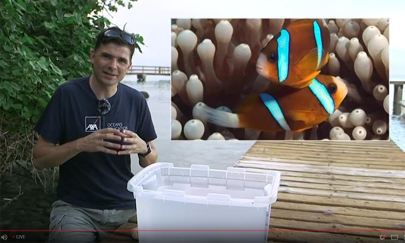 Jamie Coral Live Broadcast Screenshot800px