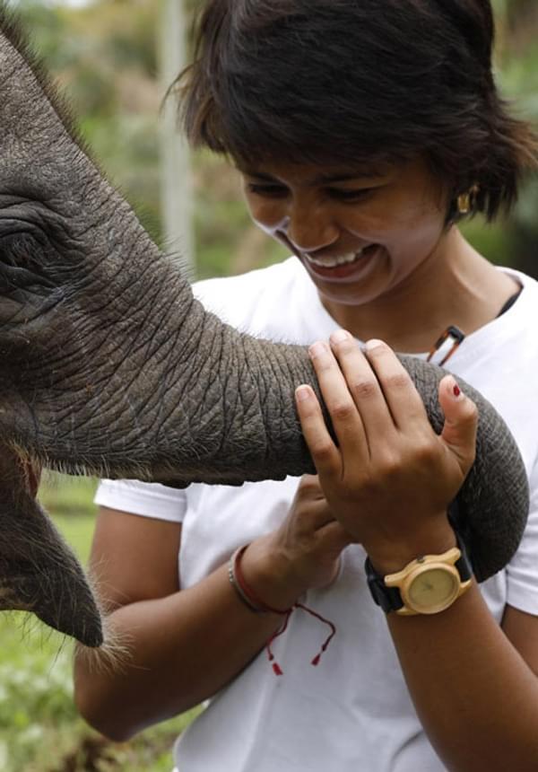 Last Animals Speaker Wiiza