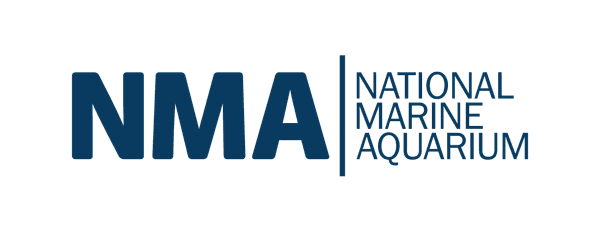 NMA NEW LOGO BLUE