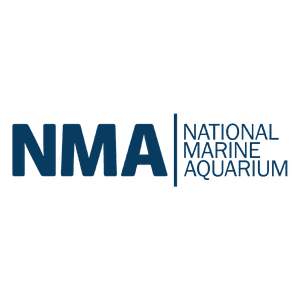 NMA logo Web EE