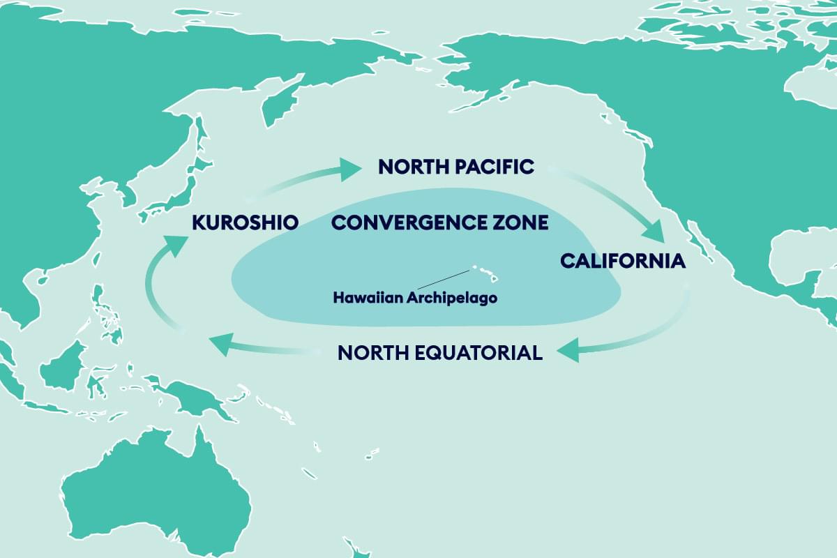 North Pacific Gyre Diagram