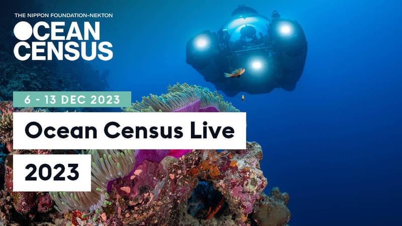 Ocean Census Live 2023 EVENT WEB SLATE