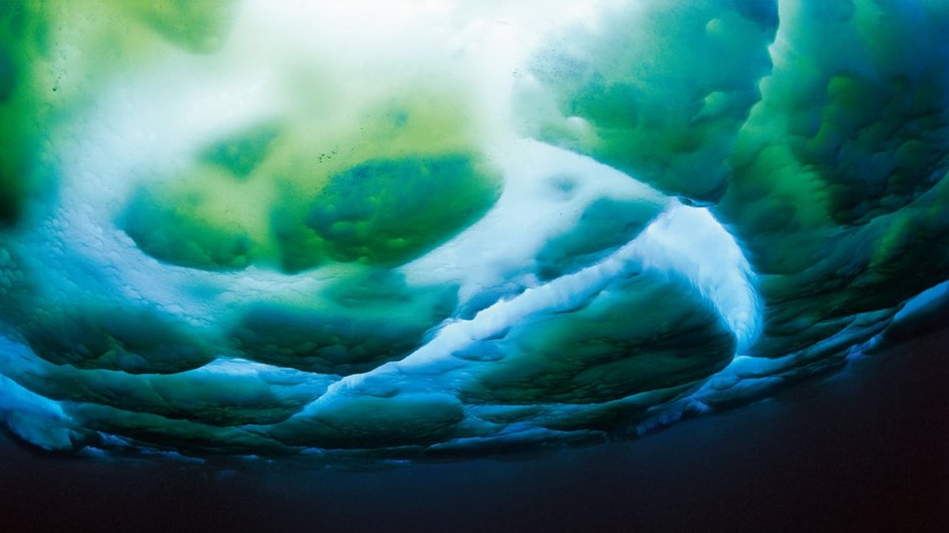 Polar Photosynthesis activity hero image