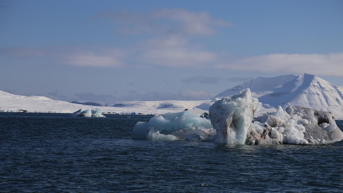 SLR 7 11 AL2021 SLATE