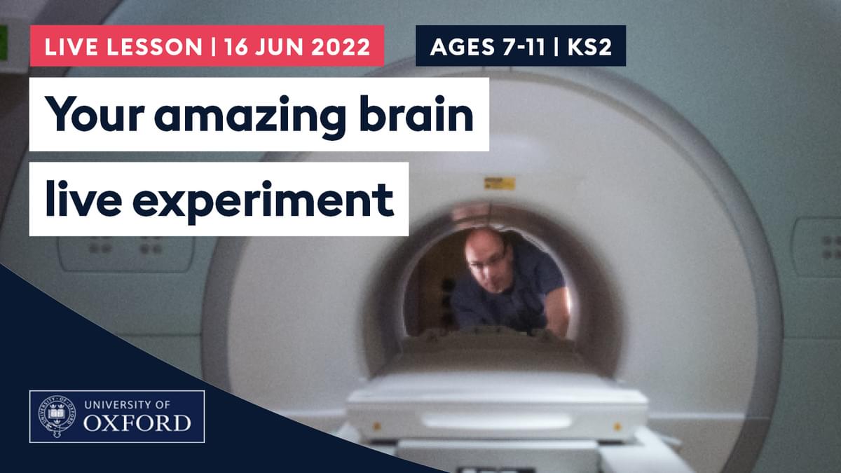 Your Amazing Brain Live Experiment 160622 slate
