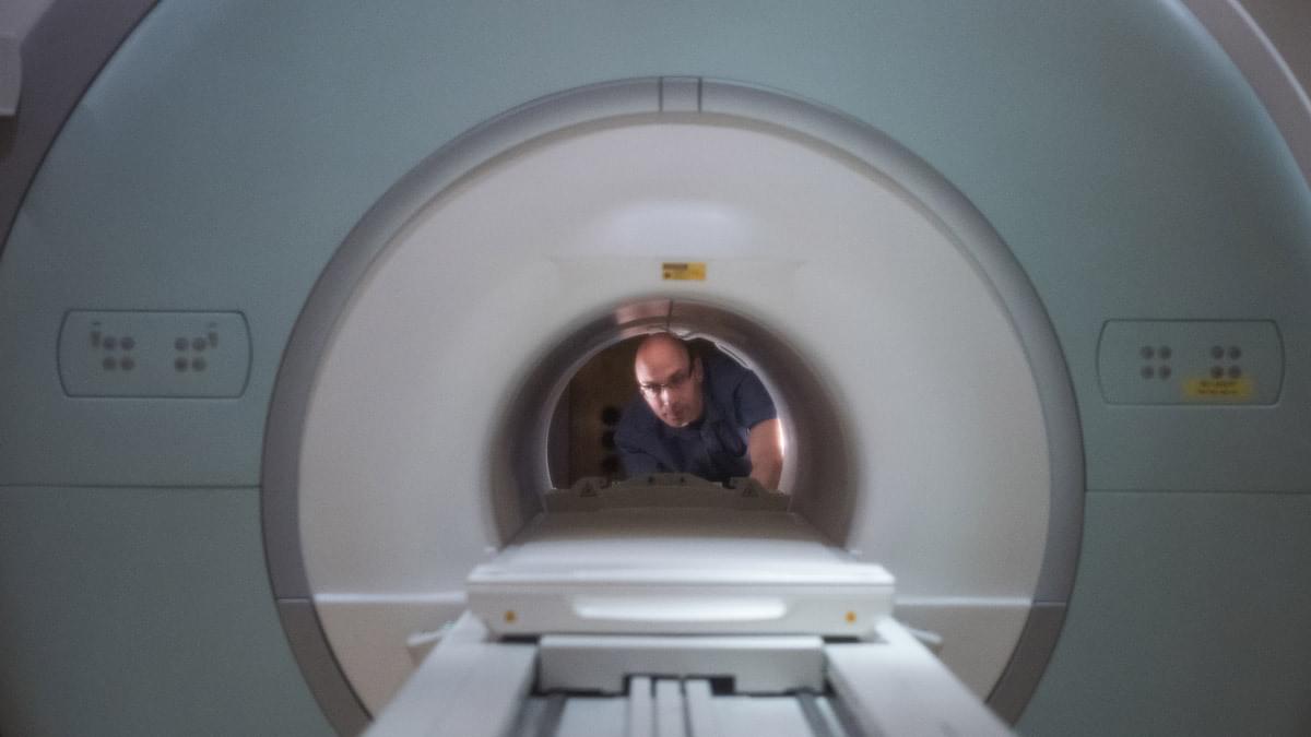 Your Amazing Brain Live Experiment 260522 MAIN