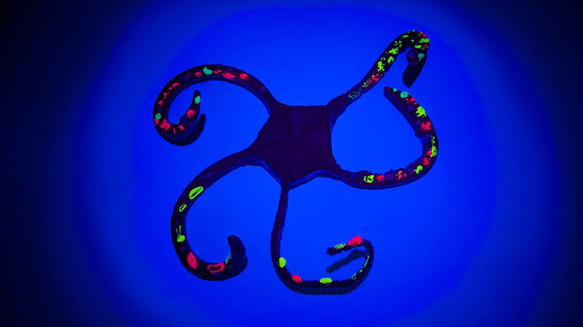 Make a brittle star STEAM Activities Encounter Edu