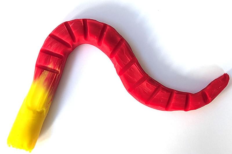 Activity make a catworm 4