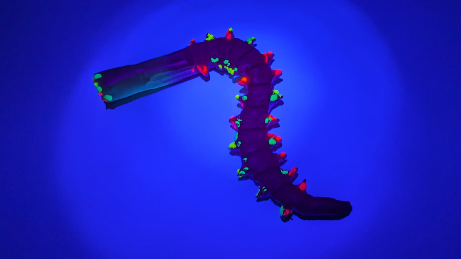 Activity make a catworm hero