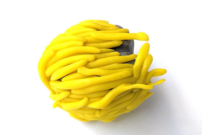 Activity make a sea potato 4