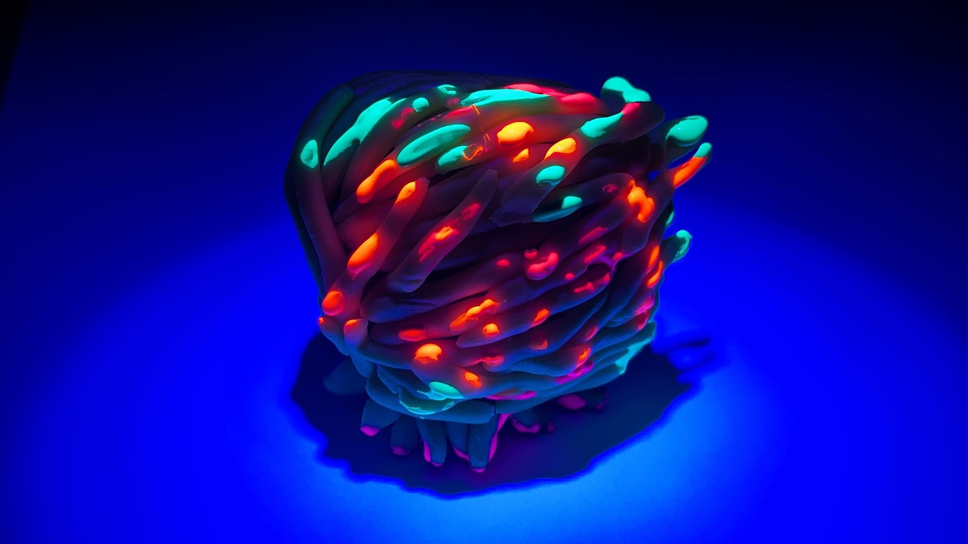 Activity make a sea potato hero