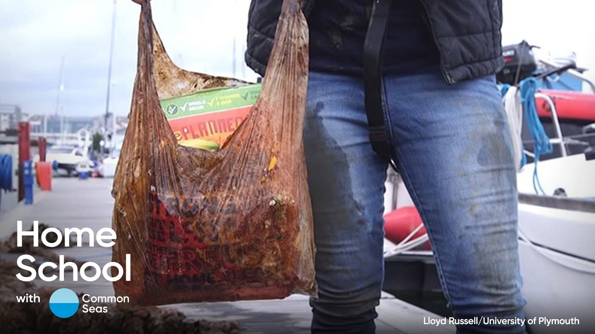 Activity opa at home how biodegradable is plastic hero