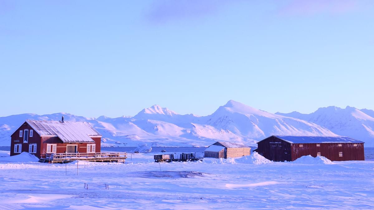 Al2022 lesson 01 hero