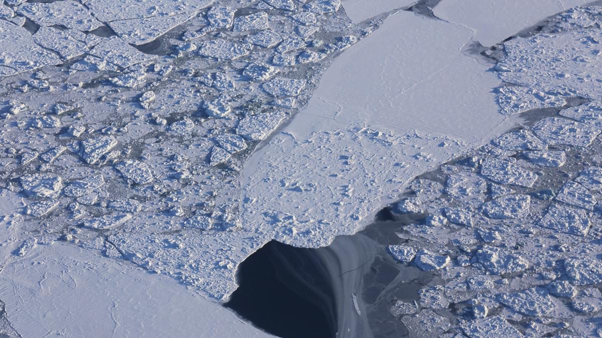 Al2022 lesson 09 hero