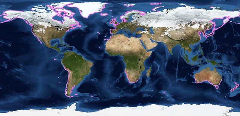 All about kelp forests map