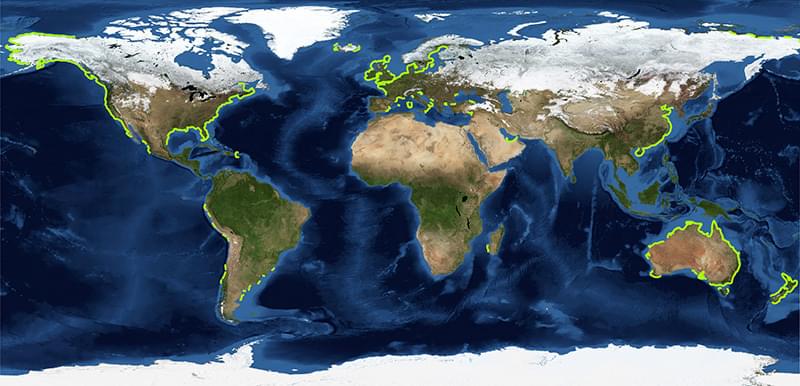 All about saltmarshes map
