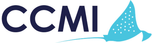 Cimlogo