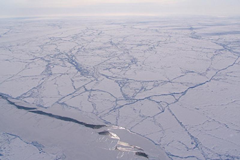 Climate impacts on ocean sea ice