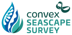 Convex seascape survey colour