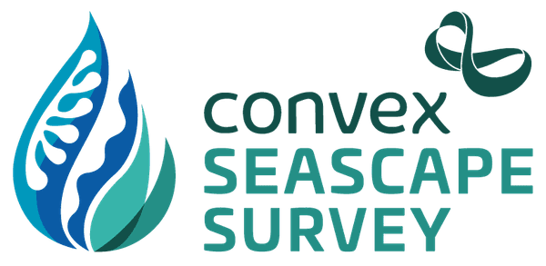 Convex seascape survey colour