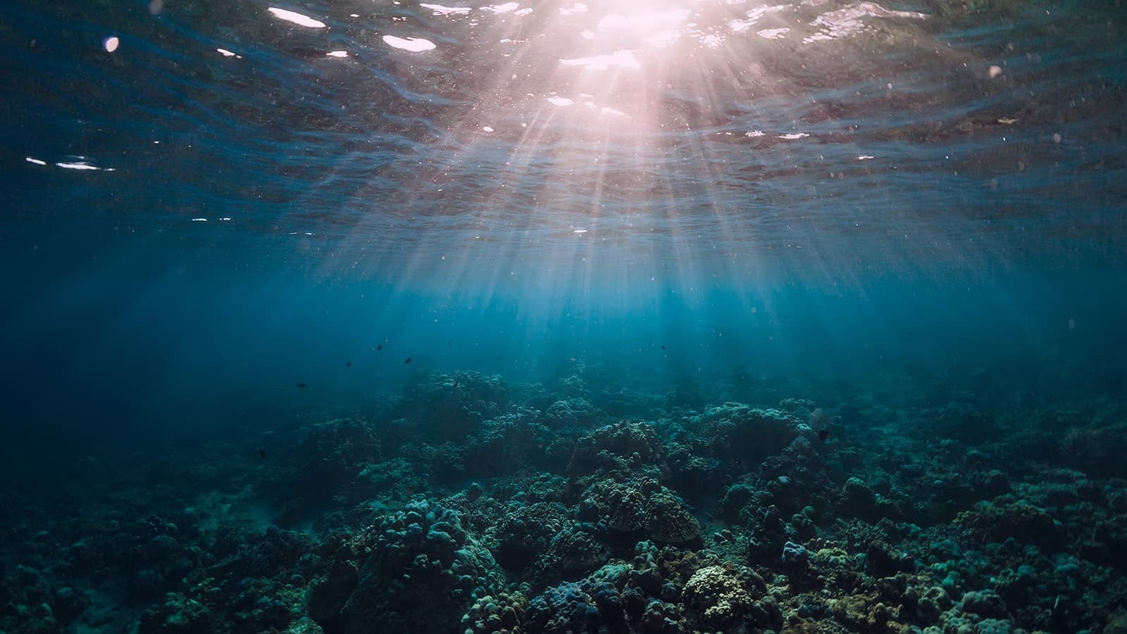 Activity Depth And Light Hero