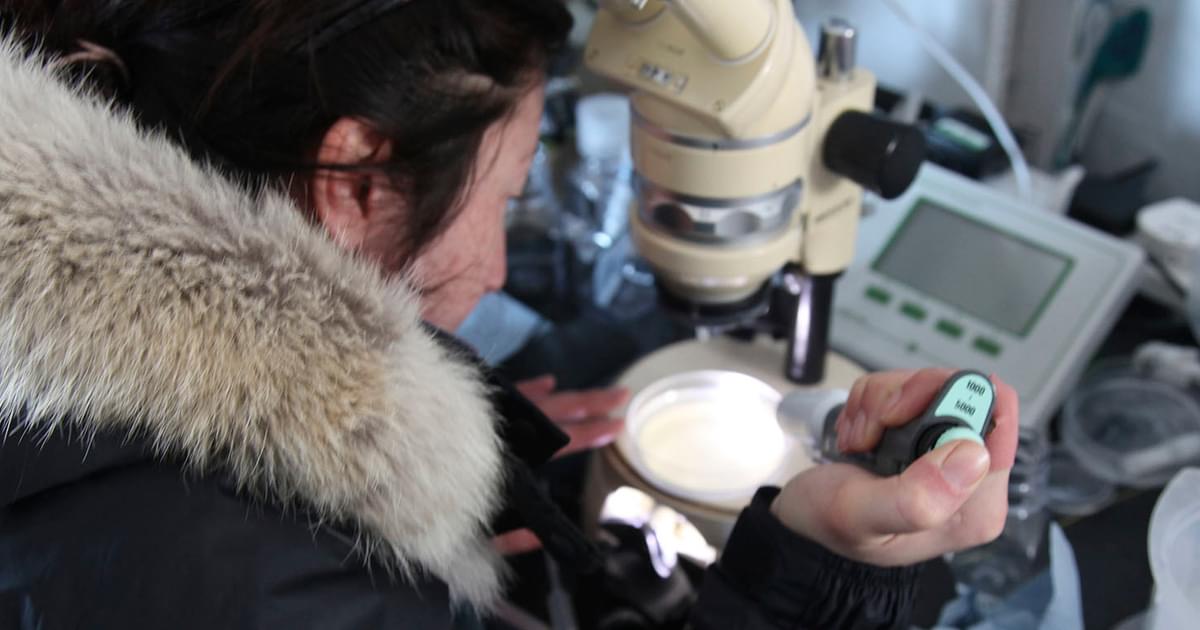 Lesson | Are humans causing ocean acidification? | Encounter Edu