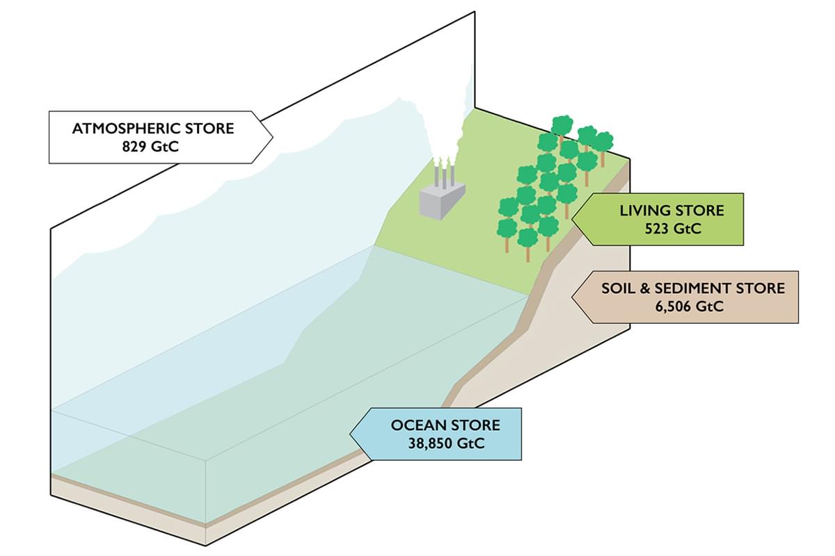 Gallery Carbon Stores Hero