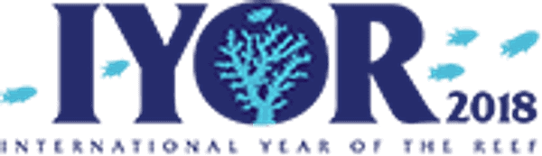 Logo Iyor