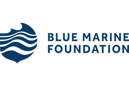 Logo blue marine foundation colour 600x400