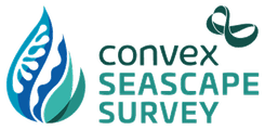Logo convex seascape survey colour