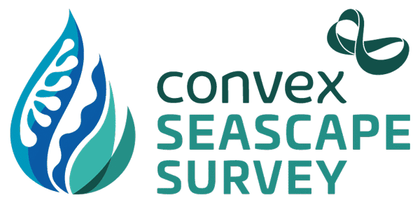 Logo convex seascape survey colour