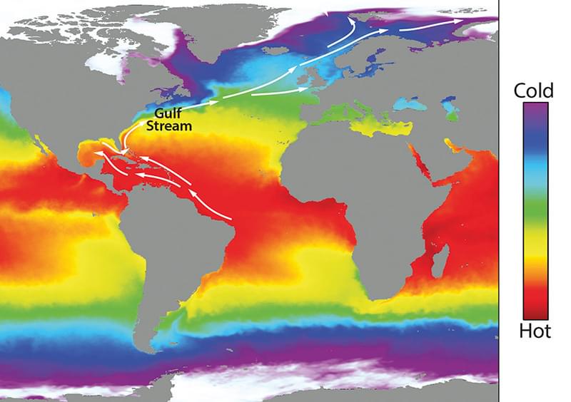 Ocean circulaton temperature map