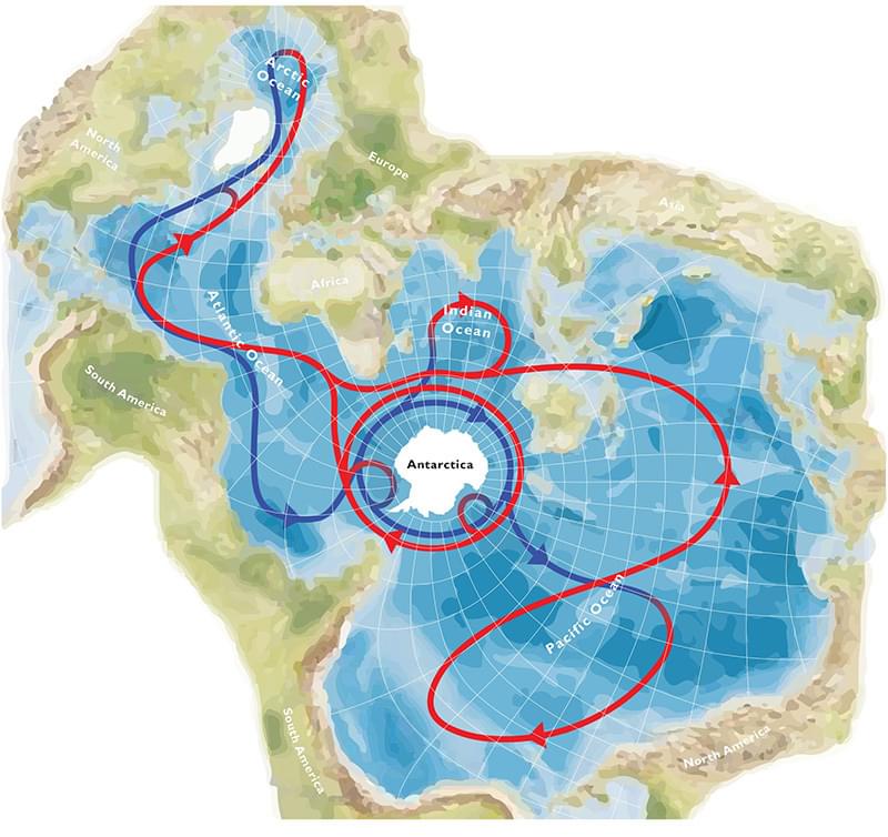 Spilhaus projection with ocean currents 800px