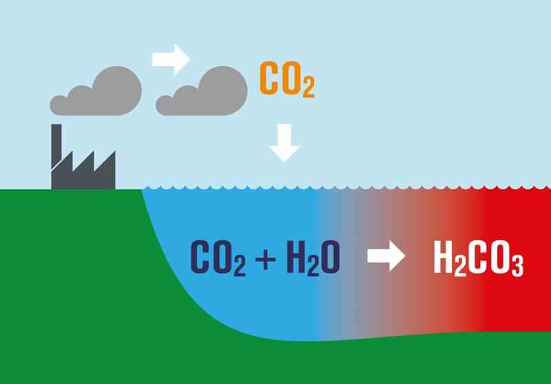 Subject Update Learn More Corals High Co2 Acidifiction Diagram