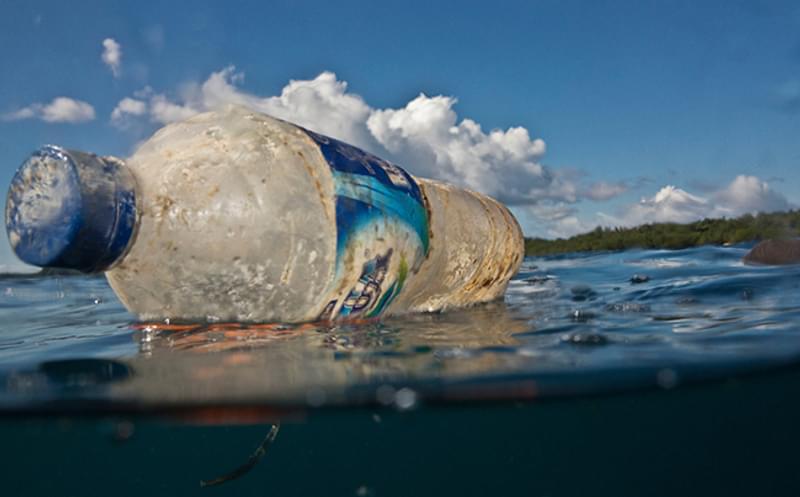 Subject Update Learn More Marine Plastics And Figures Figure 1