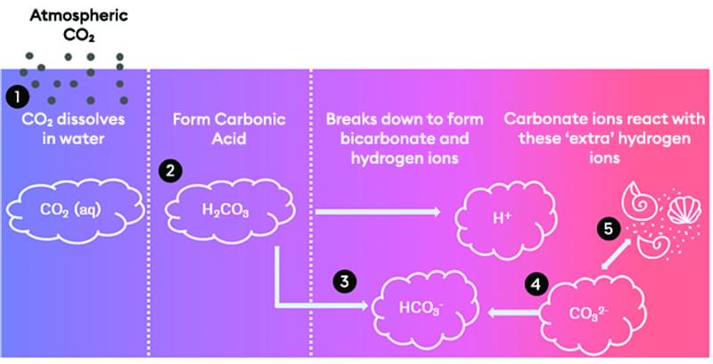 Subject Update Learn More Ocean Acidification Process Figure 1
