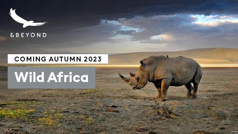 Wild africa 2023 WEBSLATE