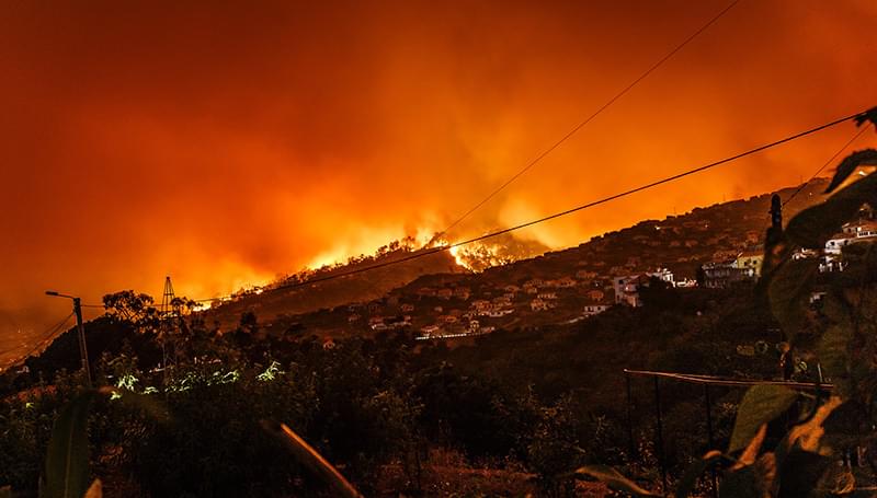 Wildfire Portugal