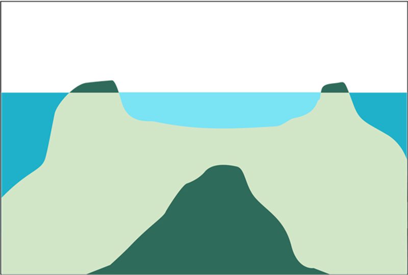 Reef Ridges Teacher Update | Learn more: How are coral reefs formed? | Encounter Edu